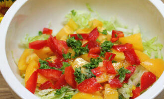 Салат из капусты, помидор и болгарского перца